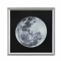 Cedar & Sage Lyra Study Mirrored Art